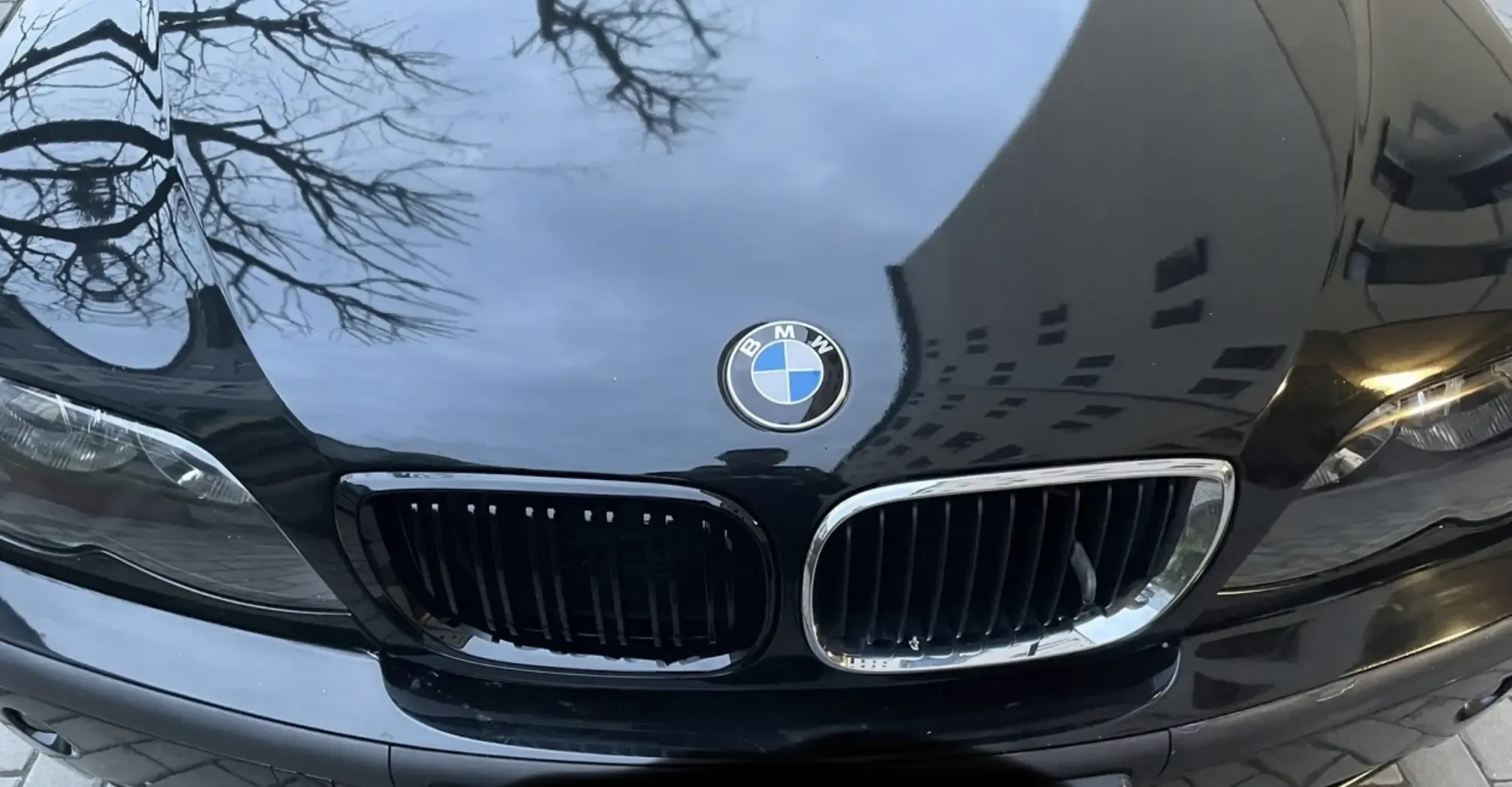 Ноздри E46 Рест